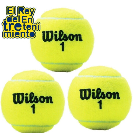 Tubo X3 Pelotas Wilson Regular Extra Duty Tennis Wilwrt100100