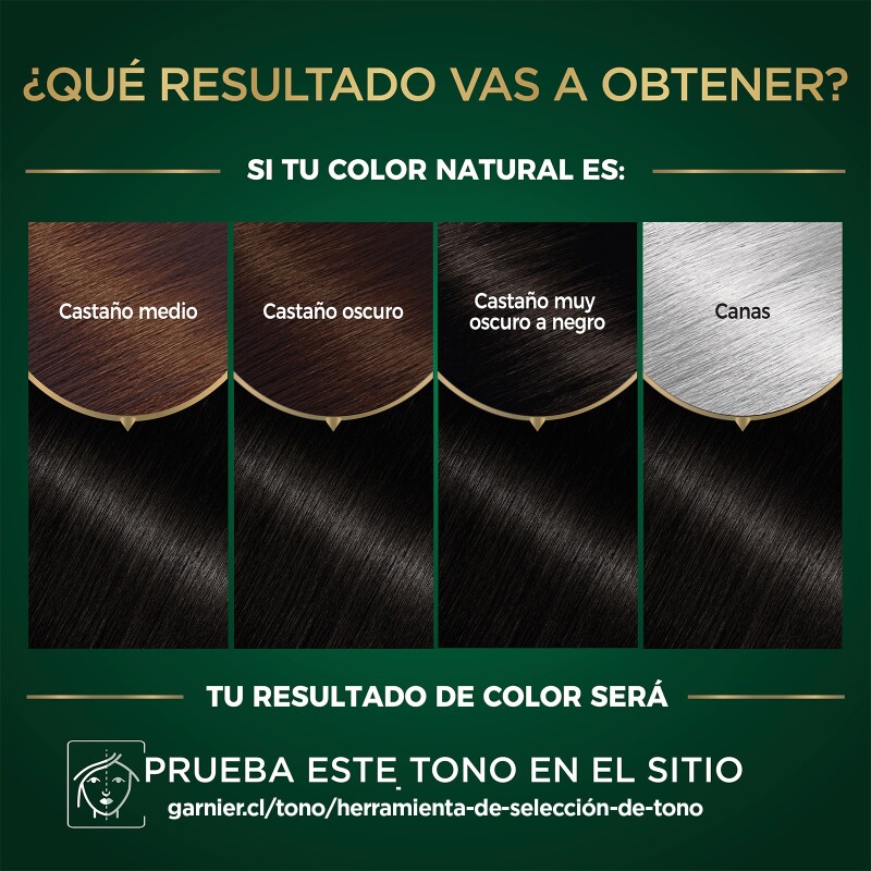 Tinta Garnier Nutrisse Oleos N°3.0 Castaño Oscuro Tinta Garnier Nutrisse Oleos N°3.0 Castaño Oscuro