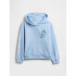 DIS_VTG SOFT OVS HOOD_FA25 WIND BLUE