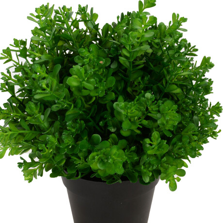 PLANTA ARTIFICIAL VERDE ARTIFICIAL GS-05520077-G2