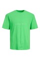 Camiseta Copenhagen Clásica Island Green