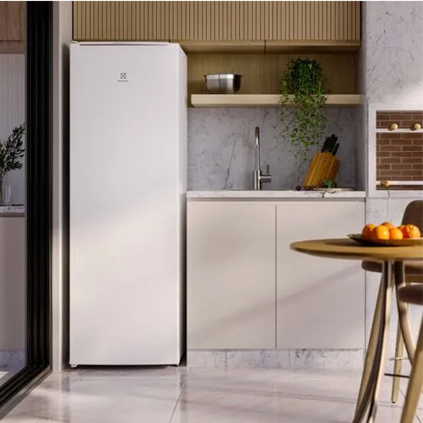 Freezer Vertical Electrolux 234l Inverter 7 Niveles FREEZER ELECTROLUX VERTICAL FEI27 INVERT