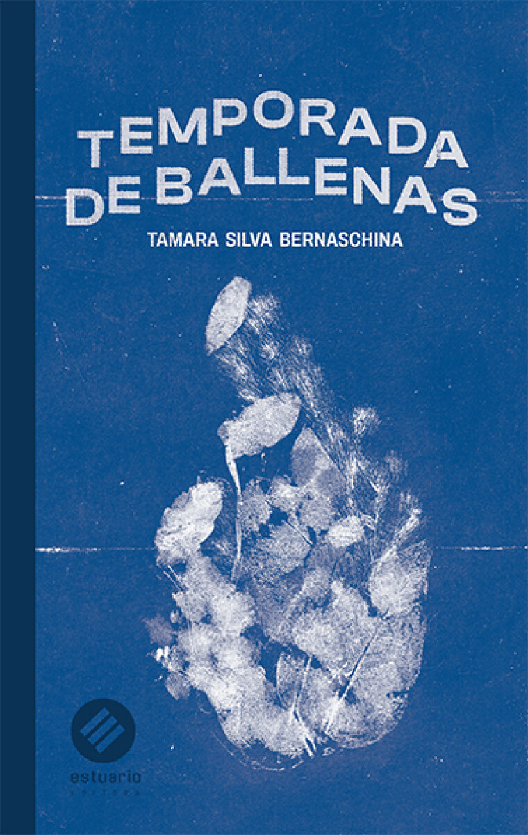 Temporada de ballenas 