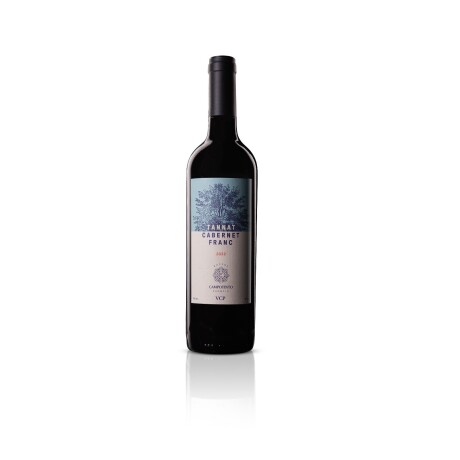 Botella Vino Cabernet Franc Campotinto 2022 X 750ML 001