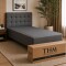 Cama SmartBox HAMPTONS 1 Plaza 80x185 cm Gris