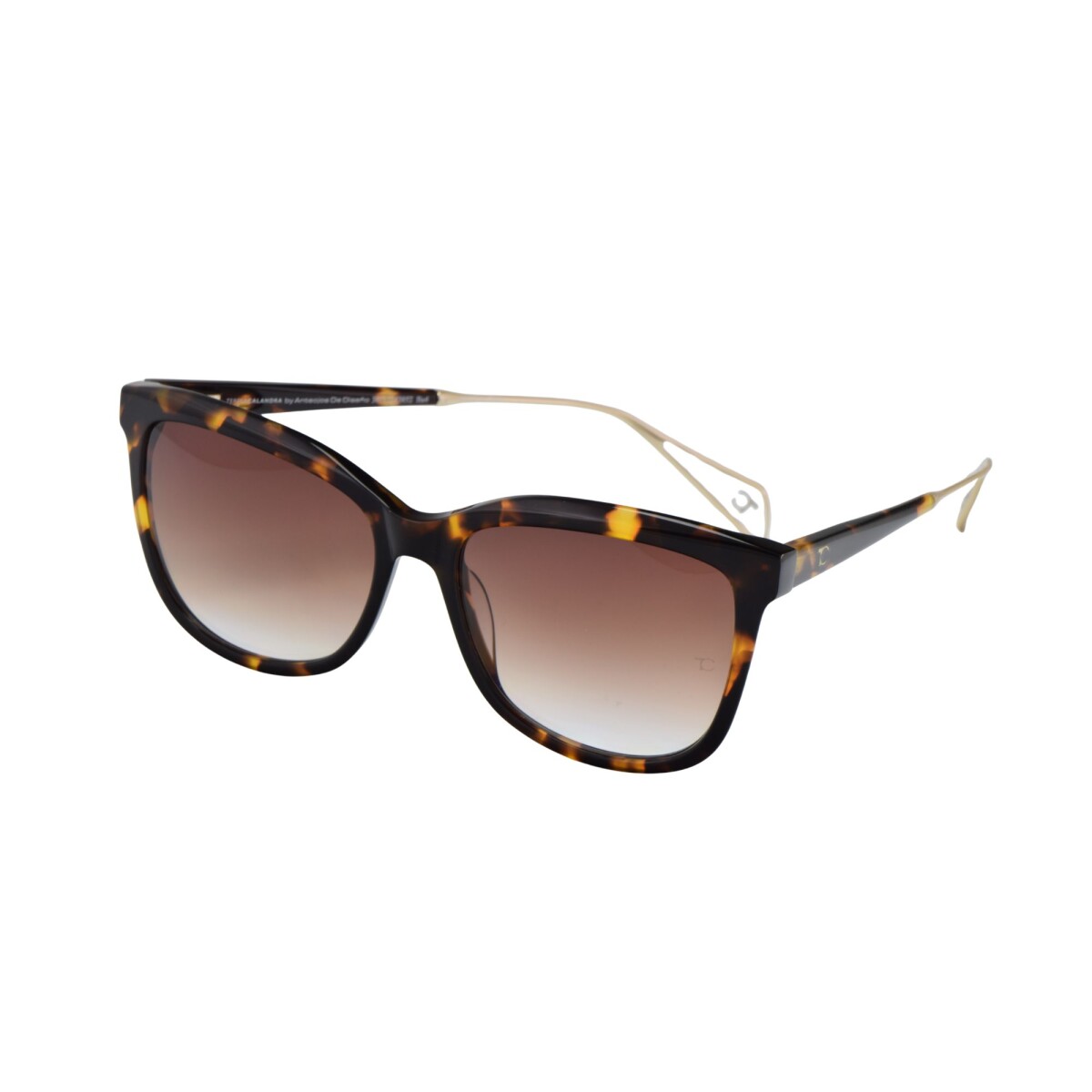 Teresa Calandra Isabella col tortoise 