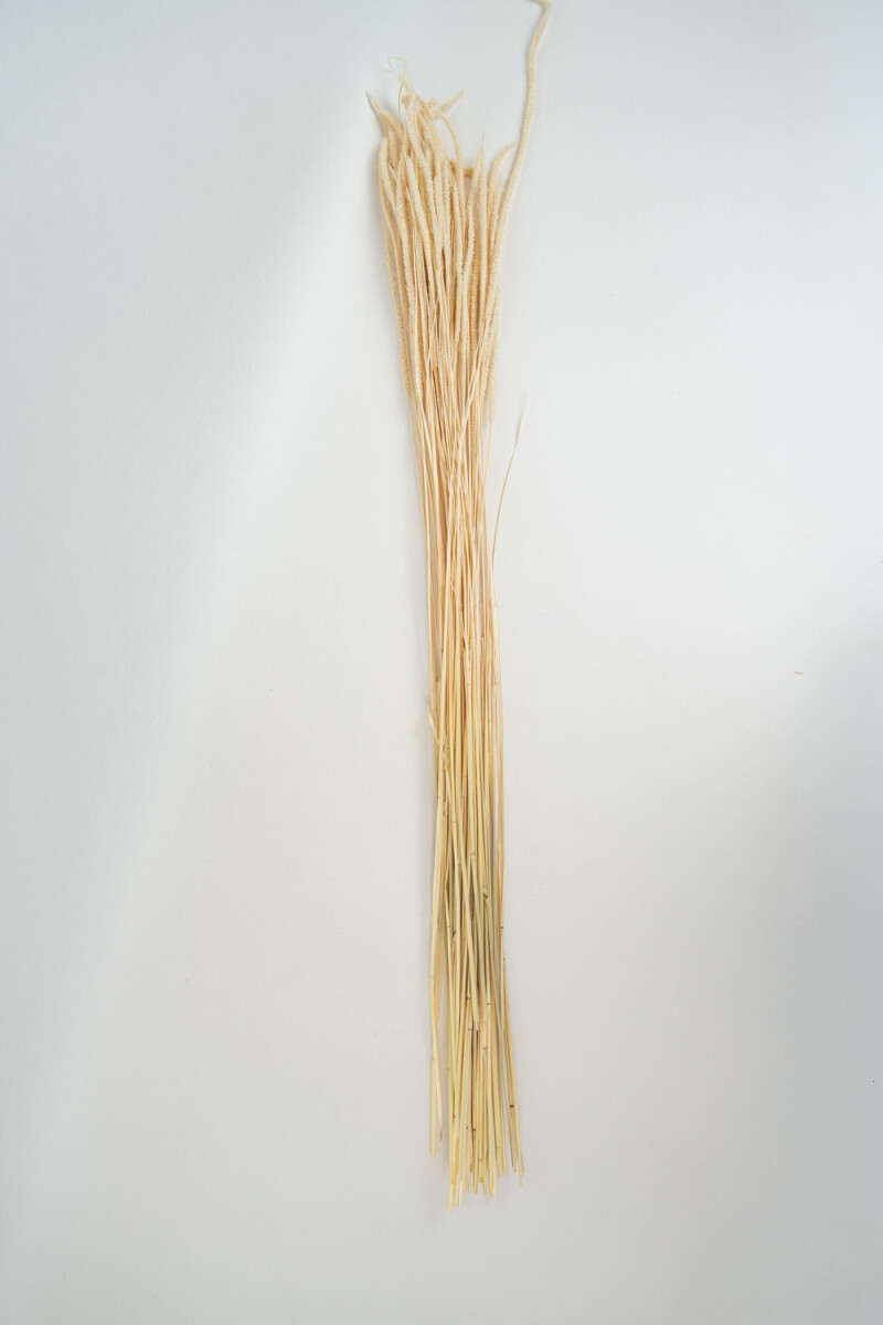 Deco Floral Flores Secas - Color Unico 