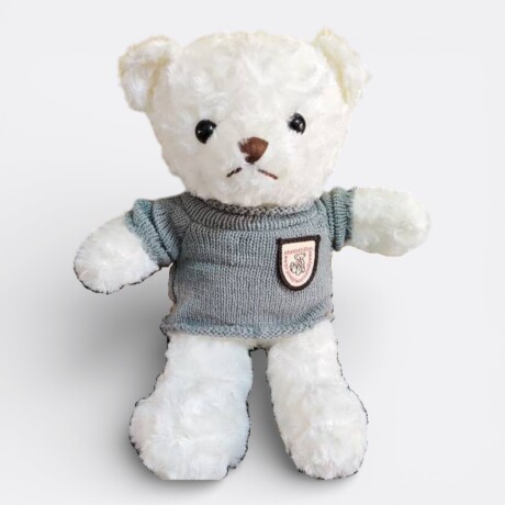 Oso De Peluche Con Buzo Modelo 5