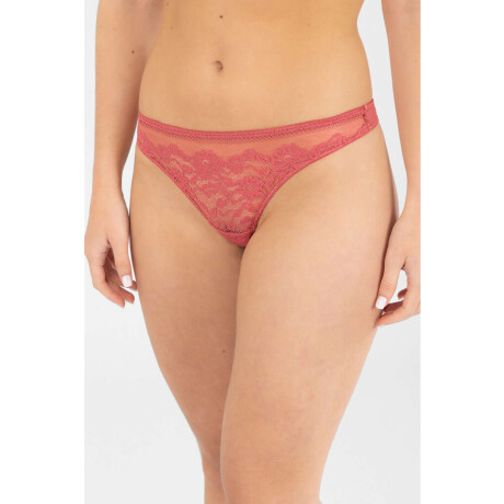 Pack x2 colaless Variante 1