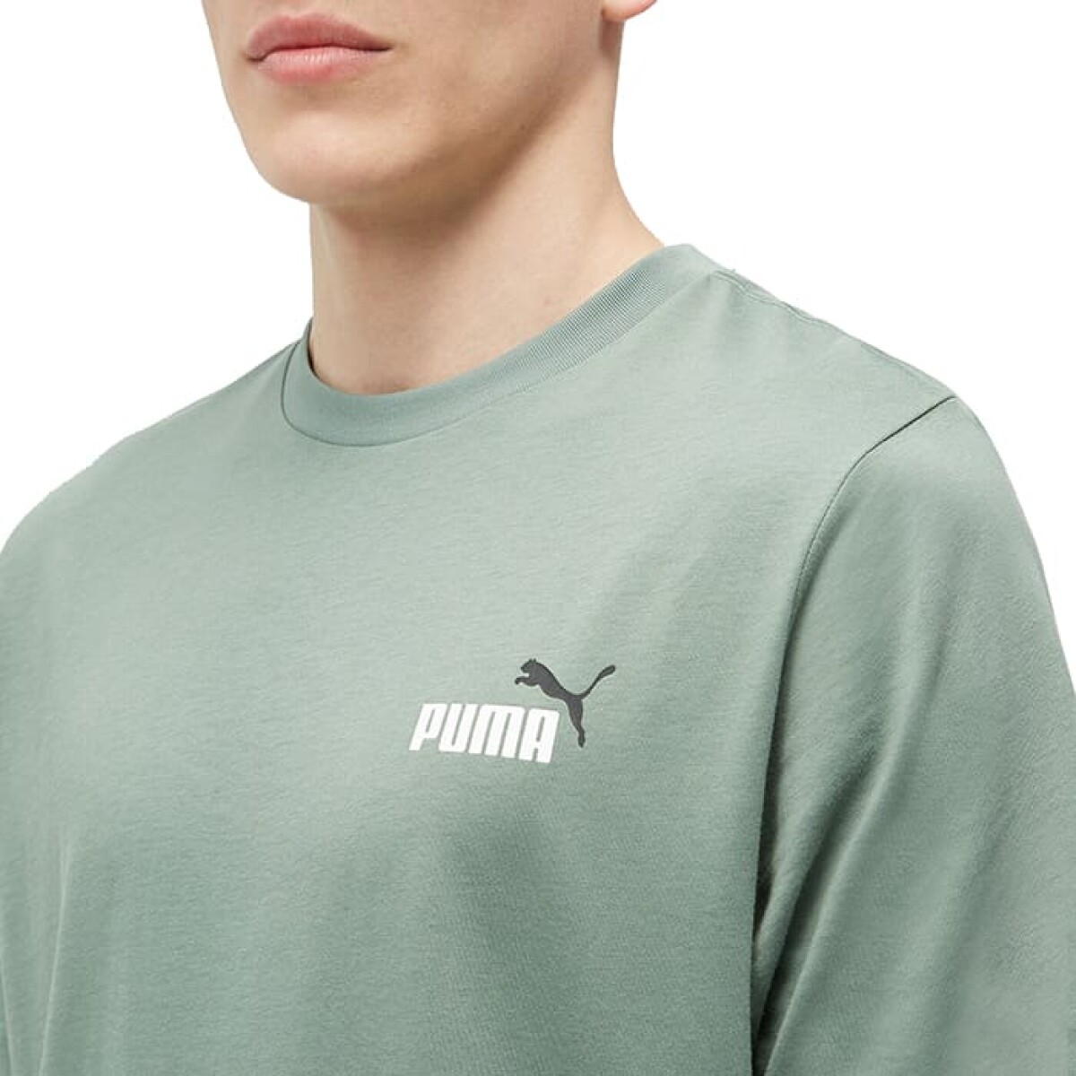 Remera Puma +2 Col Small Logo de Hombre - 674470 44 - Verde 