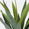 PLANTA ARTIF VERDE C/MACETERO MARRON 11X50CM Unica