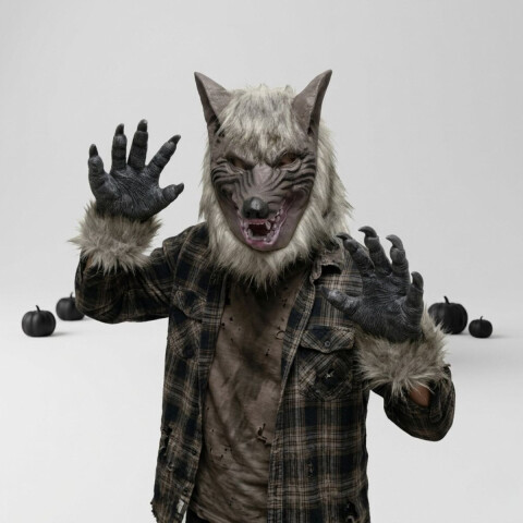 Disfraz De Lobo Disfraz De Lobo