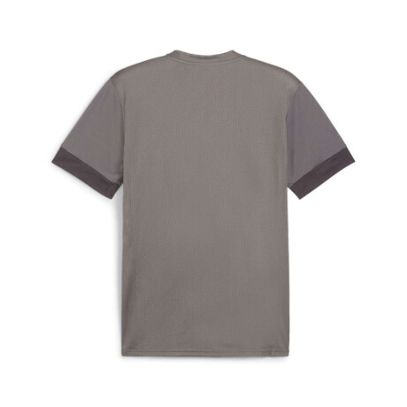 Remera Teamgoal Matchday Camiseta de Hombre Gris