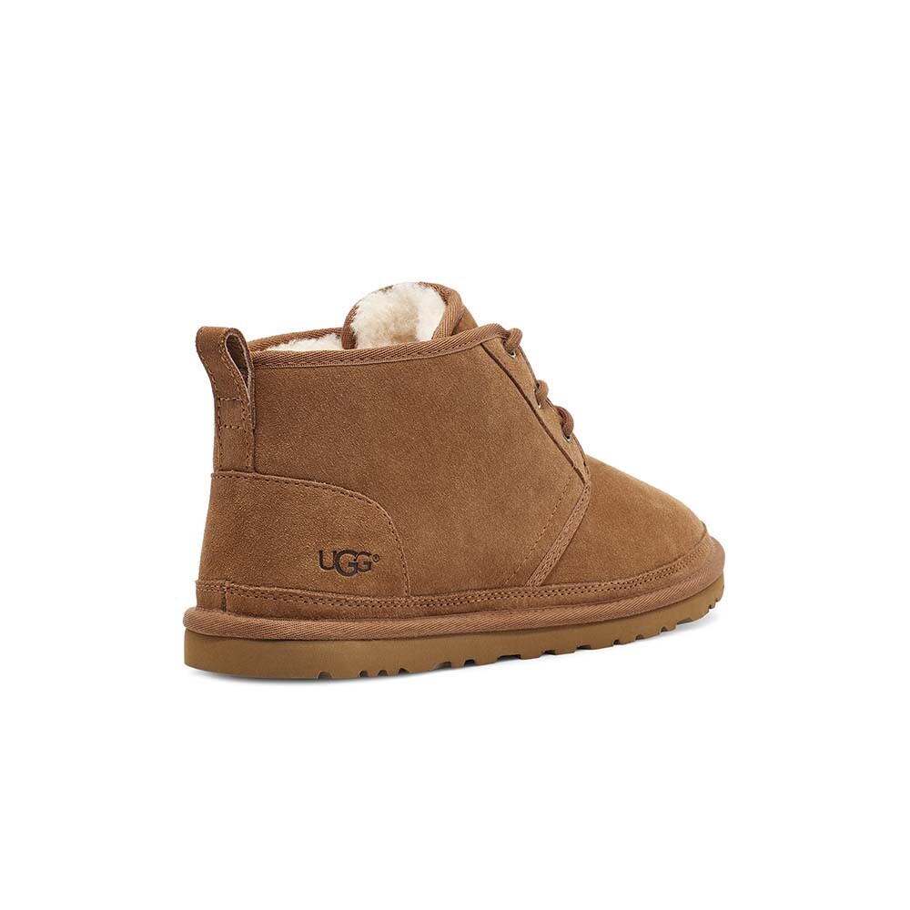 Neumel M - Hombre Chestnut