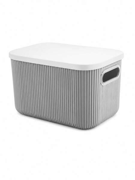 CAJA ORGANIZADORA CON TAPA GRIS