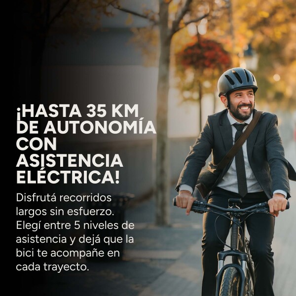 Bicicleta Electrica Gogreen Mountain 27.5 250W 36V Shimano Variante Color Negro