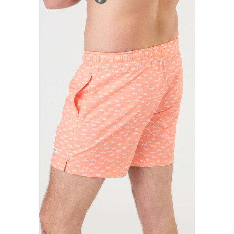 Short 4way stretch Coral reef