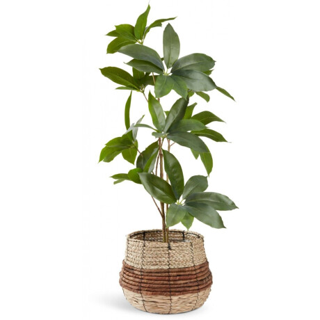 Planta Artificial Tristan A90Cm