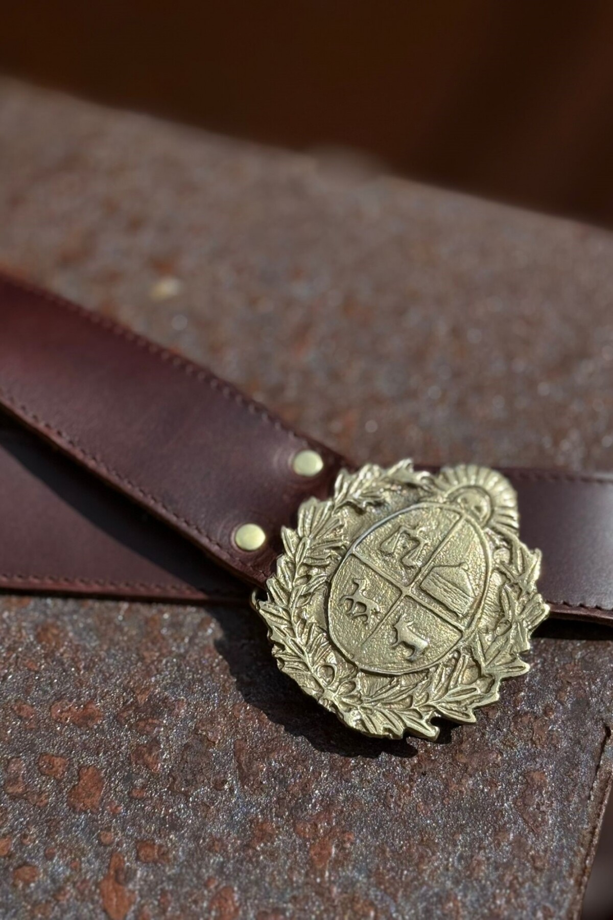 Simple Escudo Belt Chocolate / Dorado