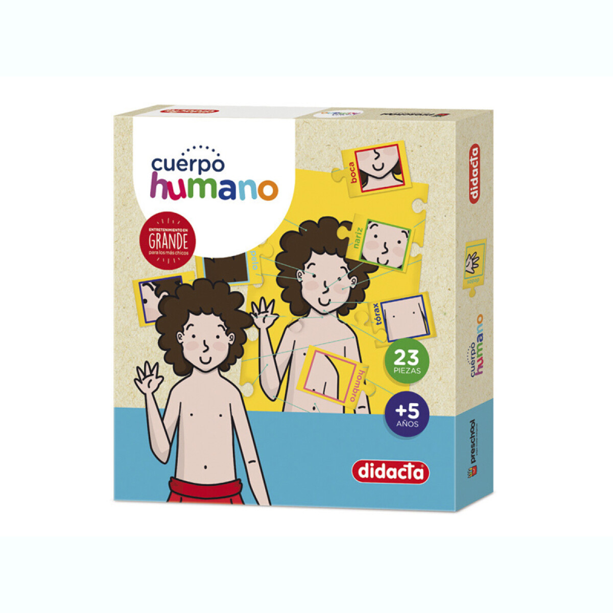 Cuerpo Humano 
