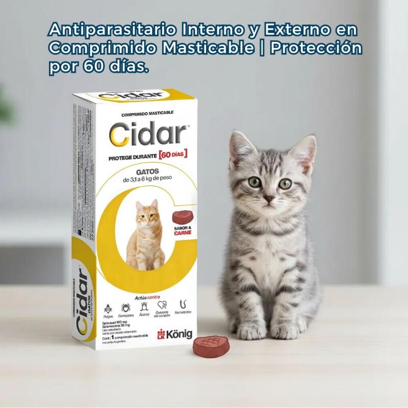 CIDAR GATOS PASTILLA ANTIPULGAS Y ANTIGARRAPATAS KONIG 3 A 6 KG
