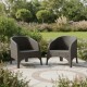 Set 2 Sillones Olivia ratán GRIS