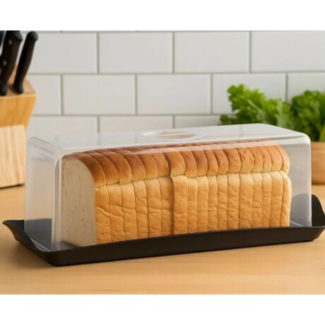 Panera rectangular de acrílico TRANSPARENTE