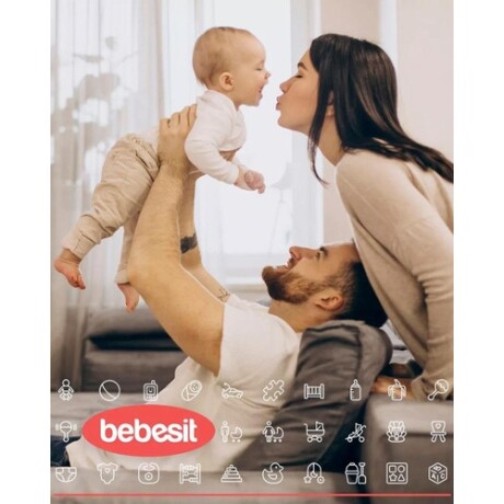 Silla de comer para bebé Bebesit Snack plegable y ajustable gris con cinturón seguro para usar en casa Gris