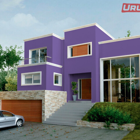 King Latex Latex interior exterior Lirio