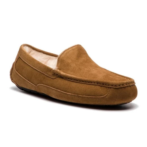 Calzado UGG Ascot Marrón
