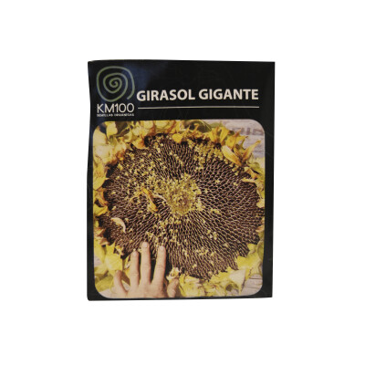 Semillas autocultivo de girasol gigante KM100 Semillas Girasol Gigante