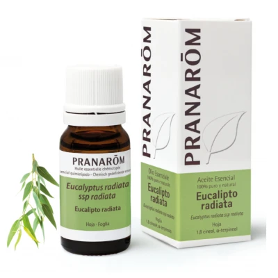 Aceite Esencial Eucalipto Pranarom Aceite Eucalipto Plus