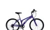 Bicicleta ALPINA LADY - Rodado 24 - Baccio Violeta
