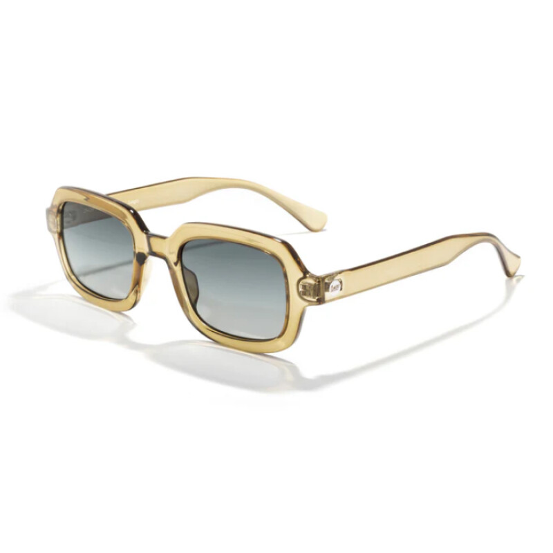 Lentes Sunski Lago - Seaweed Forest Lentes Sunski Lago - Seaweed Forest