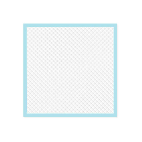 Pañal Entrenamiento Mascotas Absorbentes L X40 Unidades Blanco/celeste