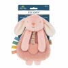 Apego peluche Itzy Ritzy conejo