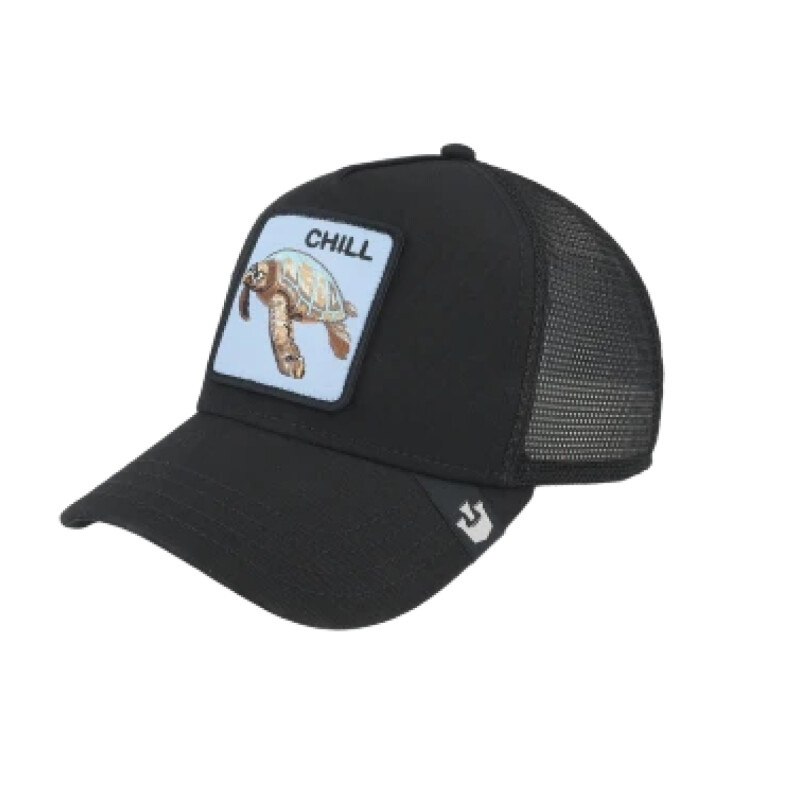 Gorro Cap Goorin The Chill Sea Turtle Gorro Cap Goorin The Chill Sea Turtle