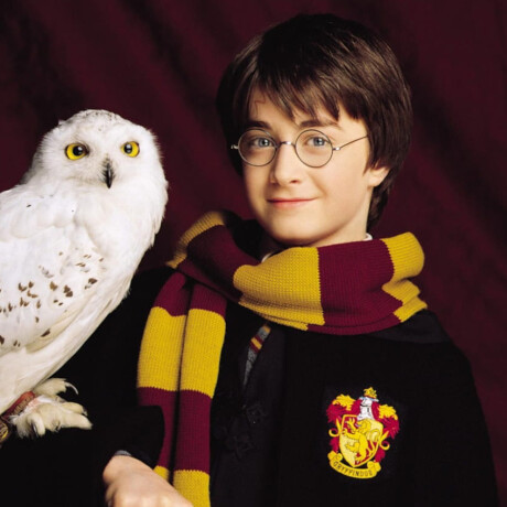 Harry con Hedwig - Harry Potter - 197 Harry con Hedwig - Harry Potter - 197