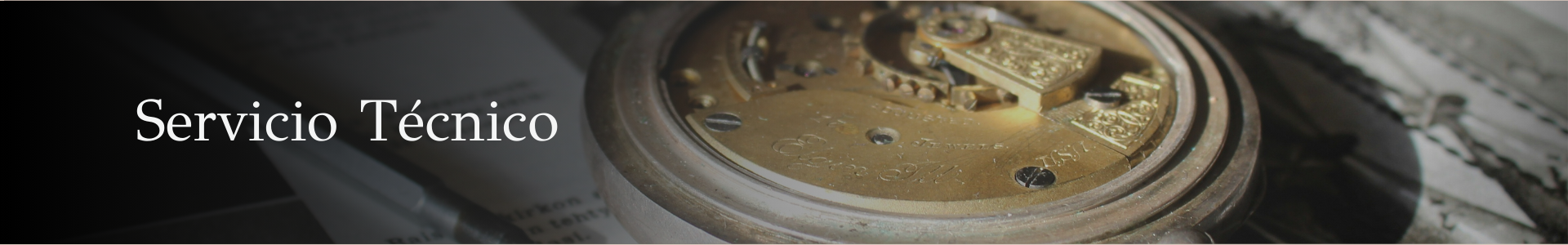 ServicioTecnicoFull1