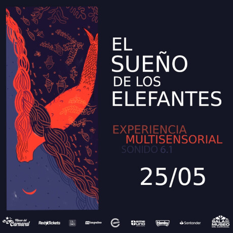 El Sueño de los Elefantes Mayo en Sala del Museo Sentadas