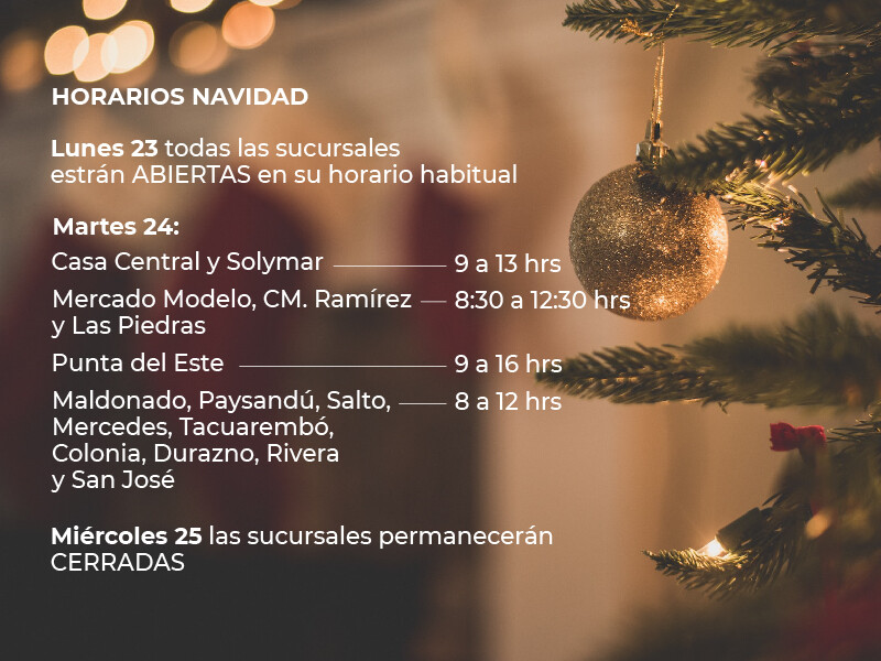 Horarios Navidad