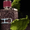 CH Men Wild Love Eau de Parfum 100 ml CH Men Wild Love Eau de Parfum 100 ml