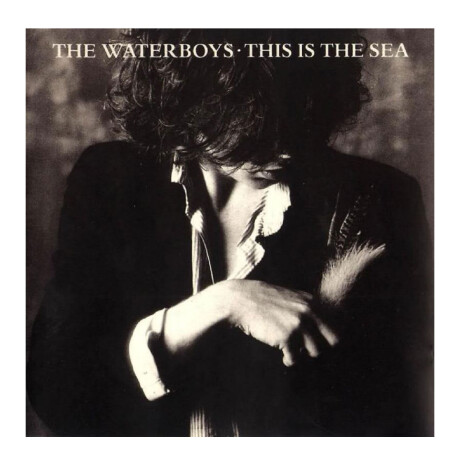 The Waterboys - This Is The Sea - Vinilo The Waterboys - This Is The Sea - Vinilo
