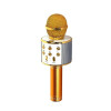 Micrófono WS858 económico con parlante y luces infantil DORADO Micrófono WS858 económico con parlante y luces infantil DORADO