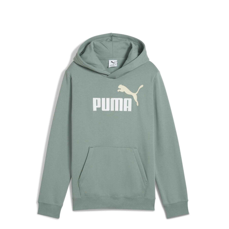 Buzo de Hombre Puma Logo Hoodie Verde