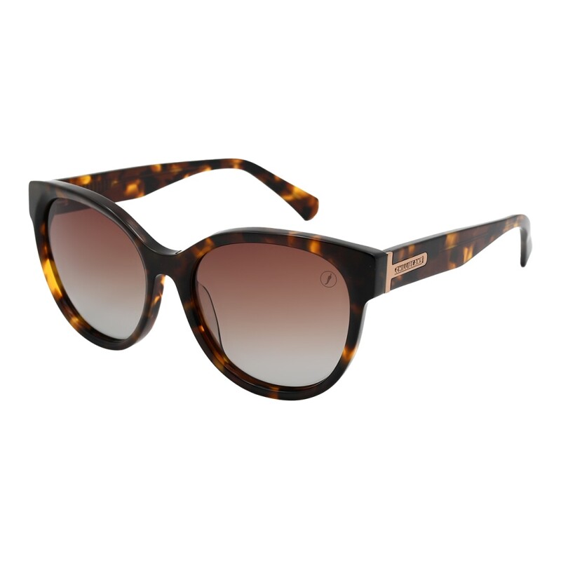 Lentes de Sol Chilli Beans Anitta Animal Print