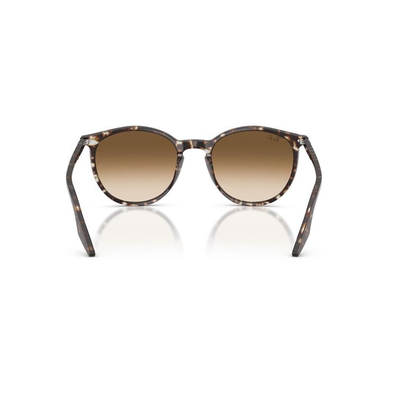 Ray Ban Rb2204 1431/51