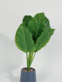 Planta Alocasia 40cm Color Unico