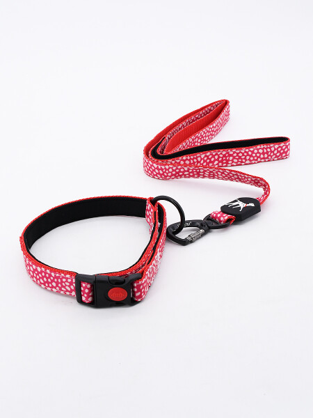SET COLLAR CON CORREA MULTICOLOR