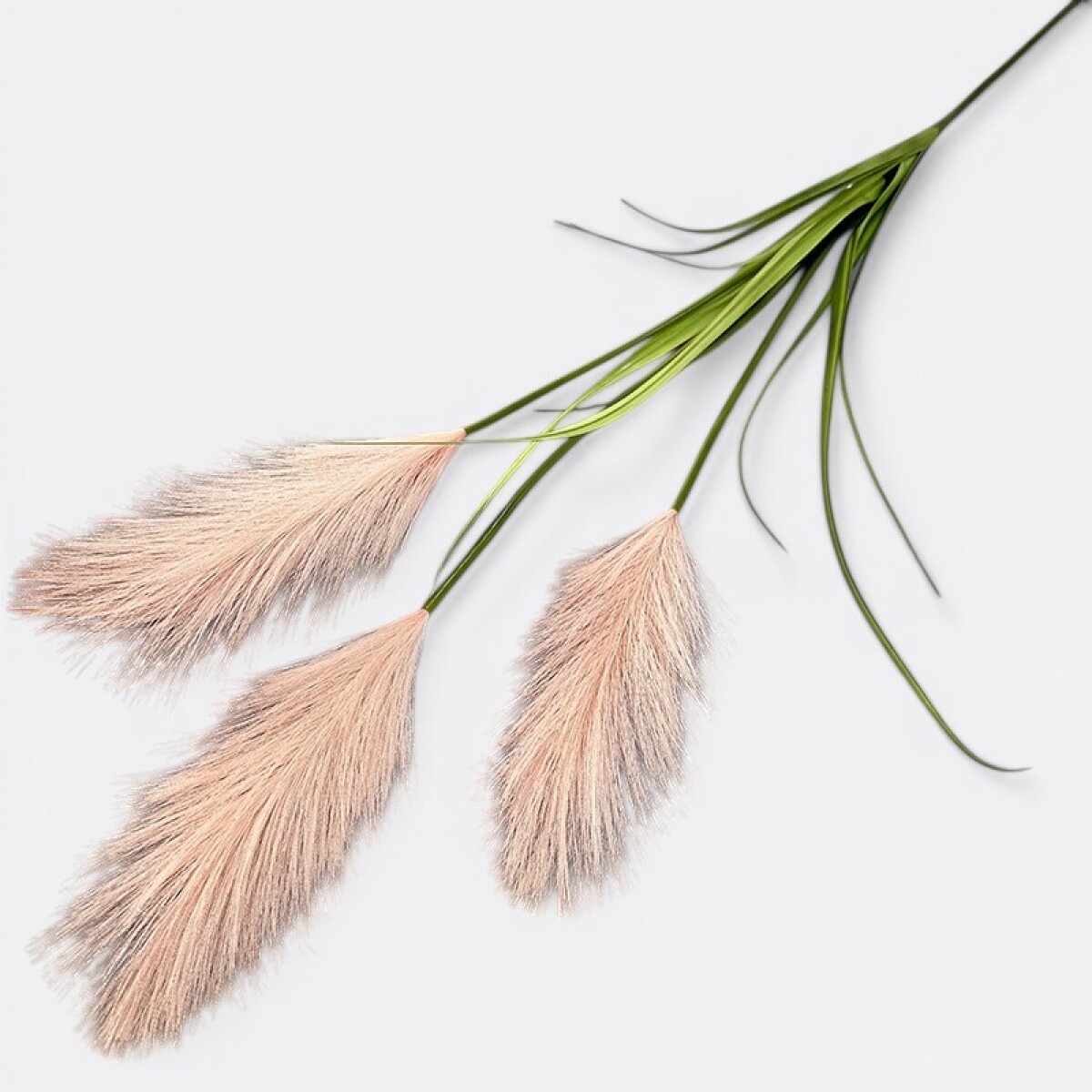 Rama Tres Plumerillos Estepa - Beige 